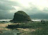 Timmangtang Photos